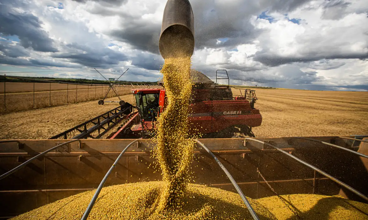 PIB do Agro cai 1,5% em relação a 2023