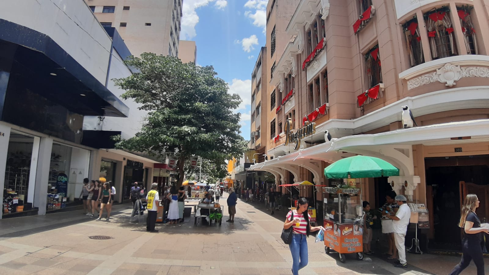 Vendas do Comércio de Ribeirão Preto crescem 4% em dezembro